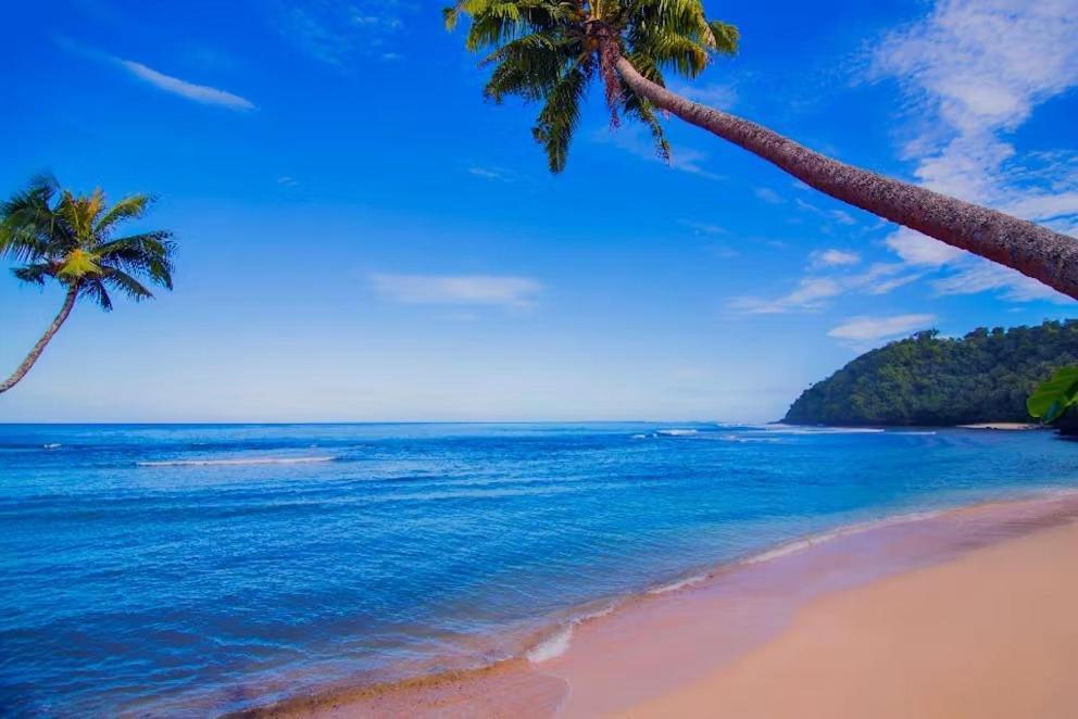 Survivor Samoa Beach Resort Falelatai 외부 사진